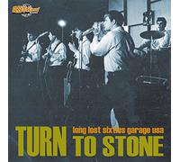 VARIOUS - turn to stone : long lost sixties garage usa LP