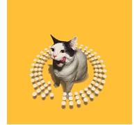 Various - Twist This Pussy