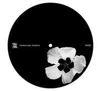 Various - Untitled [VINYL]