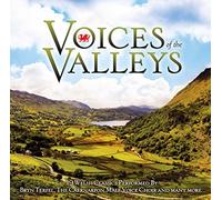 Various - Voices Of The Valleys