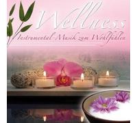 Various - Wellness-Instrumental-Musik Zum Wohlfühlen