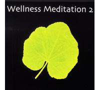 Various - Wellness Meditation 2