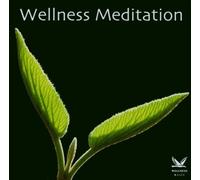 Various - Wellness Meditation