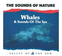 Various - Whales & Sounds of the Sea