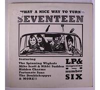 VARIOUS - what a nice way to turn seventeen no. 6