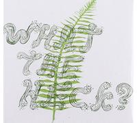 Various - What the Heck 2009