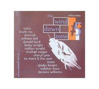 Various - Wind Down Zone Vol.5 (Gestr.)