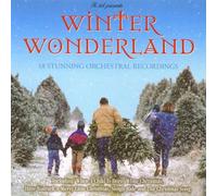 Various - Winter Wonderland