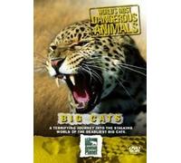 Various - World's Most Dangerous Animals - Big Cats [DVD] [Edizione: Regno Unito]