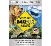 Various - World's Most Dangerous Animals [DVD] [Edizione: Regno Unito]