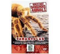 Various - World'S Most Dangerous Animals - Tarantulas [Edizione: Regno Unito] [Edizione: Regno Unito]