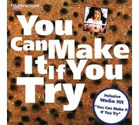 Various - You Can Make It If You Try