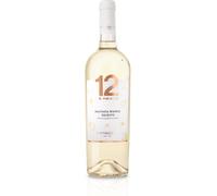 Malvasia Del Salento IGP - 12 e mezzo - Varvaglione