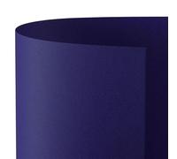 Varzi Prisma Cartoncini 50x70 Confezione Da 20 Cartoncini (Blu)