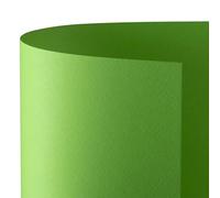 Varzi Prisma Cartoncini 50x70 Confezione Da 20 Cartoncini (Pistacchio)
