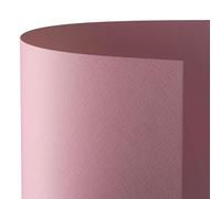 Varzi Prisma Cartoncini 50x70 Confezione Da 20 Cartoncini (Rosa)
