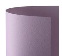 Varzi Prisma Cartoncini 50x70 Confezione Da 20 Cartoncini (Viola)