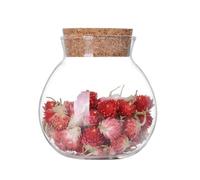 VASANA Barattolo per alimenti, in vetro trasparente, trasparente, ricaricabile, da 500 ml, con tappo in sughero, per fiori, tè, frutta secca, chicchi di caffè, zucchero, biscotti, caramelle