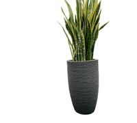 VASAR Vaso alto 70cm tronco conico Bomcord Pv Bali effetto corda in resina Telcom (SMOKE)