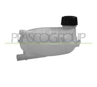 Vaschetta Acqua A Espansione Con Tappo Renault Captur 2019-2024 217102572R
