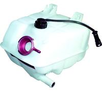 Vaschetta acqua BIRTH per Iveco