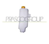Vaschetta Acqua Compatibile Per SMART FORTWO Dal 09/2014 Al 12/2019 A4538690000