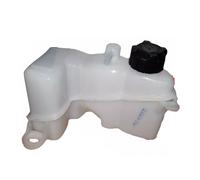VASCHETTA ACQUA RADIATORE E TAPPO FIAT IDEA 1.3 MJT LANCIA MUSA PUNTO SERBATOIO