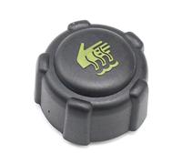 Vaschette Liquido Per Logan 1.5 Per DCi Per CLIO MK2 1998-2012 7701470460 8200048024 Serbatoio Di Espansione Liquido Di Raffreddamento Con Coperchio Vaschetta Refrigerante(Only cover8200048024)