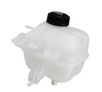 Vaschette Liquido Per Mini Per Cooper R56 R60 R57 Per BMW 118i 318i I3 I8 Liquido Raffreddamento Motore Radiatore Serbatoio Con Tappo 17137823626 17137539267 Vaschetta Refrigerante