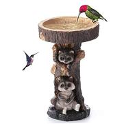 Vaschette per Uccelli per Esterni, Vaschetta per il Bagno per Uccelli in Resina Procione Ornamenti da Giardino Mangiatoia per Bere da Giardino Artificiale Decorazione Mangiatoia da Bagno per Animali
