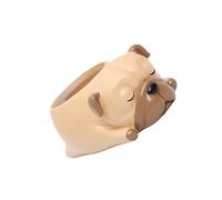 Vasetti Per Fiori Vaso Piante Cani Arredamento Della Casa Di Desktop