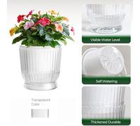 Vasetti per impianti di stoccaggio dell'acqua di lunga durata per piante da inte