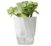 Vasi autoirriganti - grandi stoppini decorativi, moderni vasi per piante d'appartamento | aloe, piante grasse, erbe, violette africane e altro ancora, perfetti per piante d'appartamento, interni