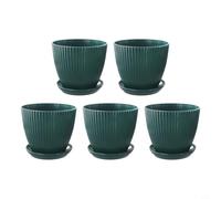 Vasi da fiori in plastica da 15,2 cm, con vassoio di drenaggio e foro, per uso interno ed esterno, adatti per piccole piante come piante grasse, cactus e aloe vera ()