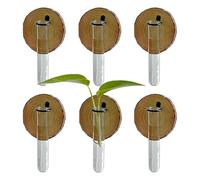 Vasi da Propagazione a Muro - Supporto Da Parete Idroponico Propagatore,fioriera con provette - Per giardino idroponico domestico, balcone, terrazzo, finestra, acqua, donne, uomini, mamme