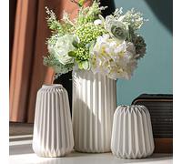 Vasi Deco - Set di 3 Vasi in Ceramica Bianca Per la Casa Moderno, Vasi Opachi De