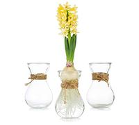 Vasi Di Vetro Per Fiori Con Corda In Spago 3 Pezzi/Set - Composizioni Floreali, Gemme Di Cristallo Per Matrimonio, Casa, Cucina, Decorazione Del Balcone Del Giardino