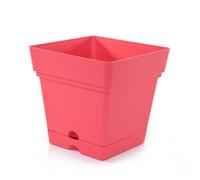 Vasi in plastica Mintra per piante, fioriera quadrata per piante da interno ed esterno, vasi da giardino con sottovasi e fori di drenaggio, vasi