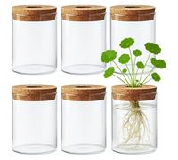 Vasi in vetro per piante, 6 pezzi, per la propagazione, design cilindrico con tappi in sughero morbido, stili domestici perfetti per piantare piante decorative per interni, ideale multiplo