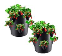 Vasi per Fragole Verticali da Esterno | 2 Pezzi 7 Galloni Vaso per Fragole Verticale | Sacchetti Coltivazione Traspiranti con 6 Fori | Contenitori for Coltivazione di Verdura In Tessuto Non Tessuto