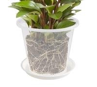 Vasi per orchidee, vaso per orchidee | Orchid vasi con fori e piattino | Contenitori trasparenti per piante grasse Phalaenopsis rose floreali orchidee viole del pensiero | Vaso in rete