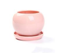 Vasi per piante da fiori in ceramica tinta unita piccoli con vassoio Vasi da fiori carine rotonde piante grasse verdi coltivazione semplice fioriera per casa desktop ornamenti giardinaggio vaso (rosa