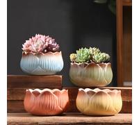 Vasi per Piante Grasse, Vaso per Cactus e Succulente, Set di Vasi Decorativi con Foro di Drenaggio, per Piante da Giardino da Interno/Esterno, Piantine e Semi (Confezione da 4)