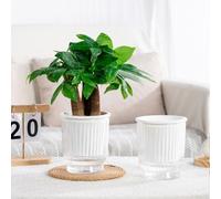 Vasi per piante in plastica autoirriganti, 4 pezzi, con design trasparente e serbatoio profondo per idratare le piante nel tempo