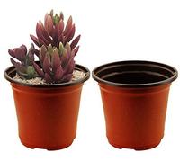 Vasi per piante, vasi per vivai in plastica da 1 pezzo Fioriere da giardino per esterni con fori di scarico multipli - Per tutti i fiori da giardino di casa Piante grasse Un colore Attractive