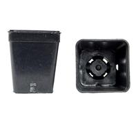 Vasi quadrati colore nero 5x5x6 cm (n.2700 pezzi), ditta Bamaplast