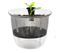 Vasi trasparenti per orchidee, vaso per piante in vetro per irrigazione inferiore, vasi per piantine, vasi da giardino, vasi per irrigazione, forniture decorative da giardinaggio per casa, balcone