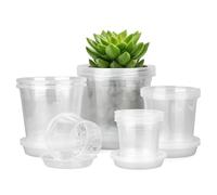 Vasi trasparenti per semenzali con drenaggio,20 Pezzi Di Contenitori Per Piantine Di Frutta Da Giardino - Vaso per Coltivazione di Piante | per Giardinieri, Progetti scolastici, Fioriere da Balcone