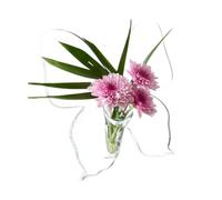 Vaso a forma di farfalla, in acrilico, con struttura a farfalla, dispositivo avanzato per fiori idroponici, decorazione per centrotavola di compleanno, tavolo, decorazione per casa e ufficio