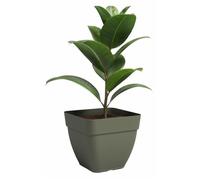 Vaso - ARTEVASI - CAPRI CAMPANA - Quadrato - Verde secco - L36,5 x P36,5 x H33,5 cm